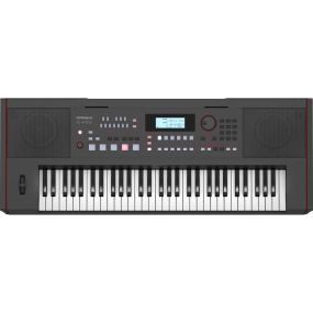 Roland E-X50 Digital Arranger Keyboard (EX50)